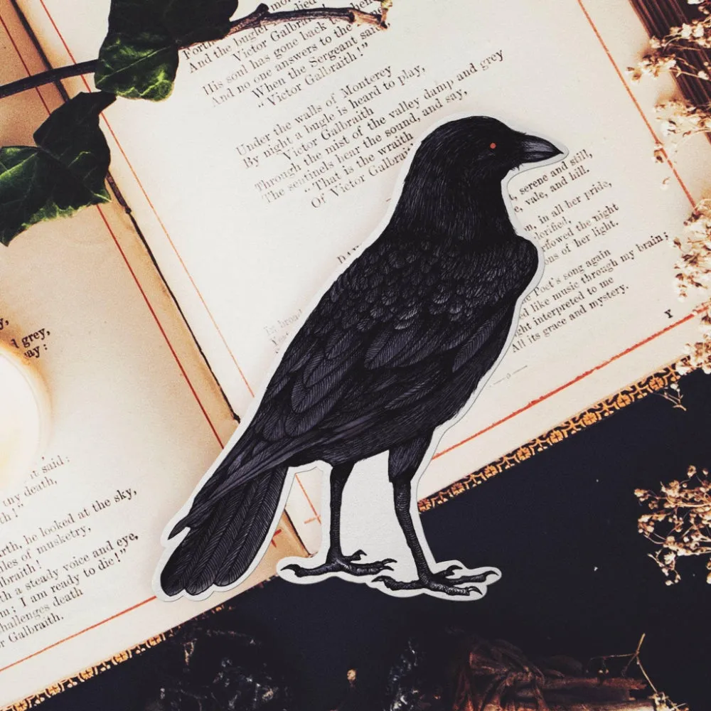 Black Crow - Vinyl Sticker